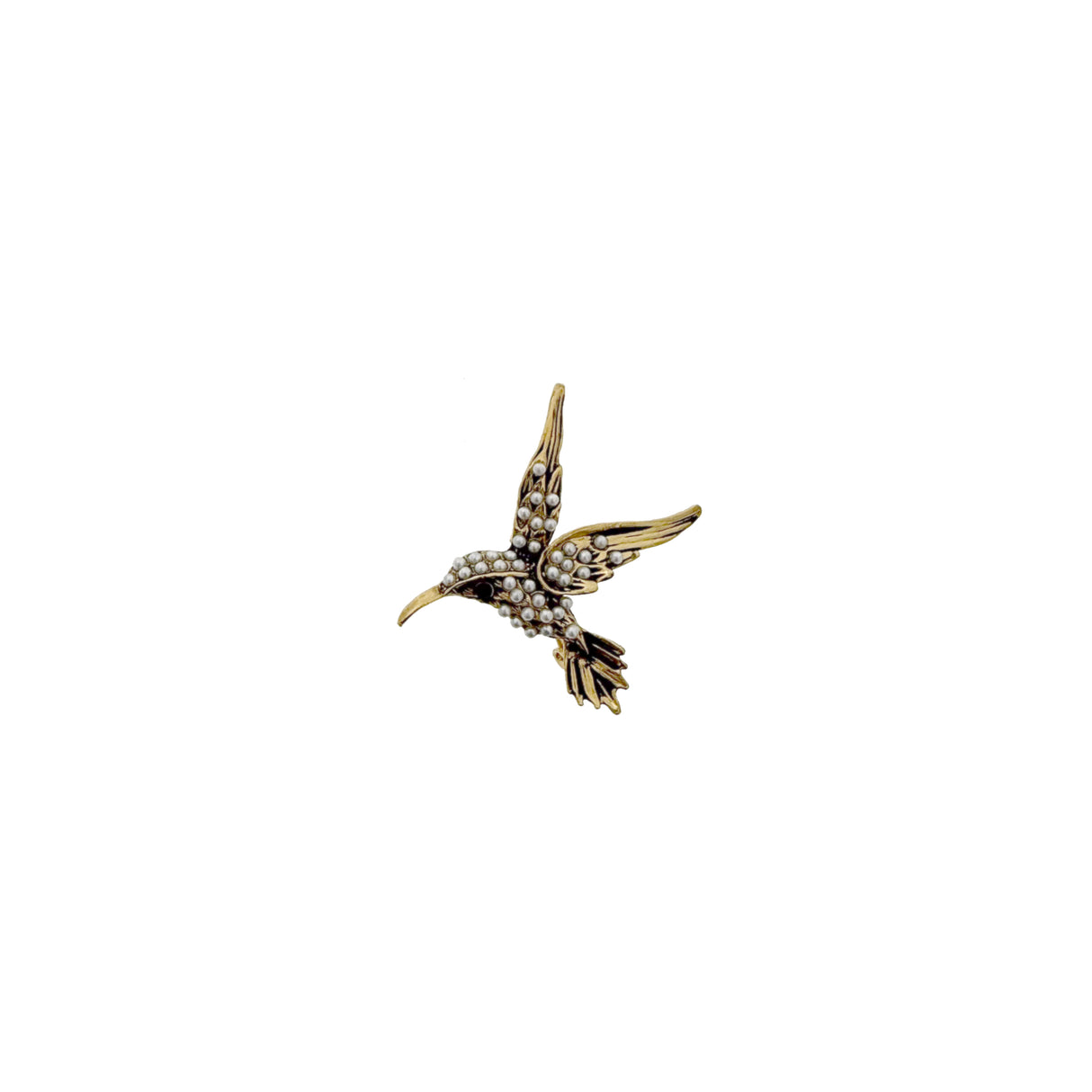 Brosa Hummingbird