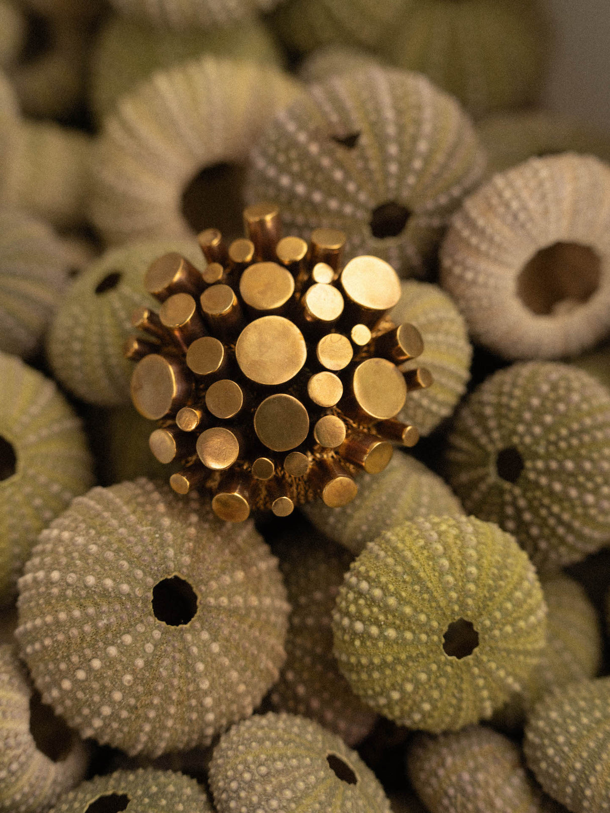 Brosa Golden Sea Urchin