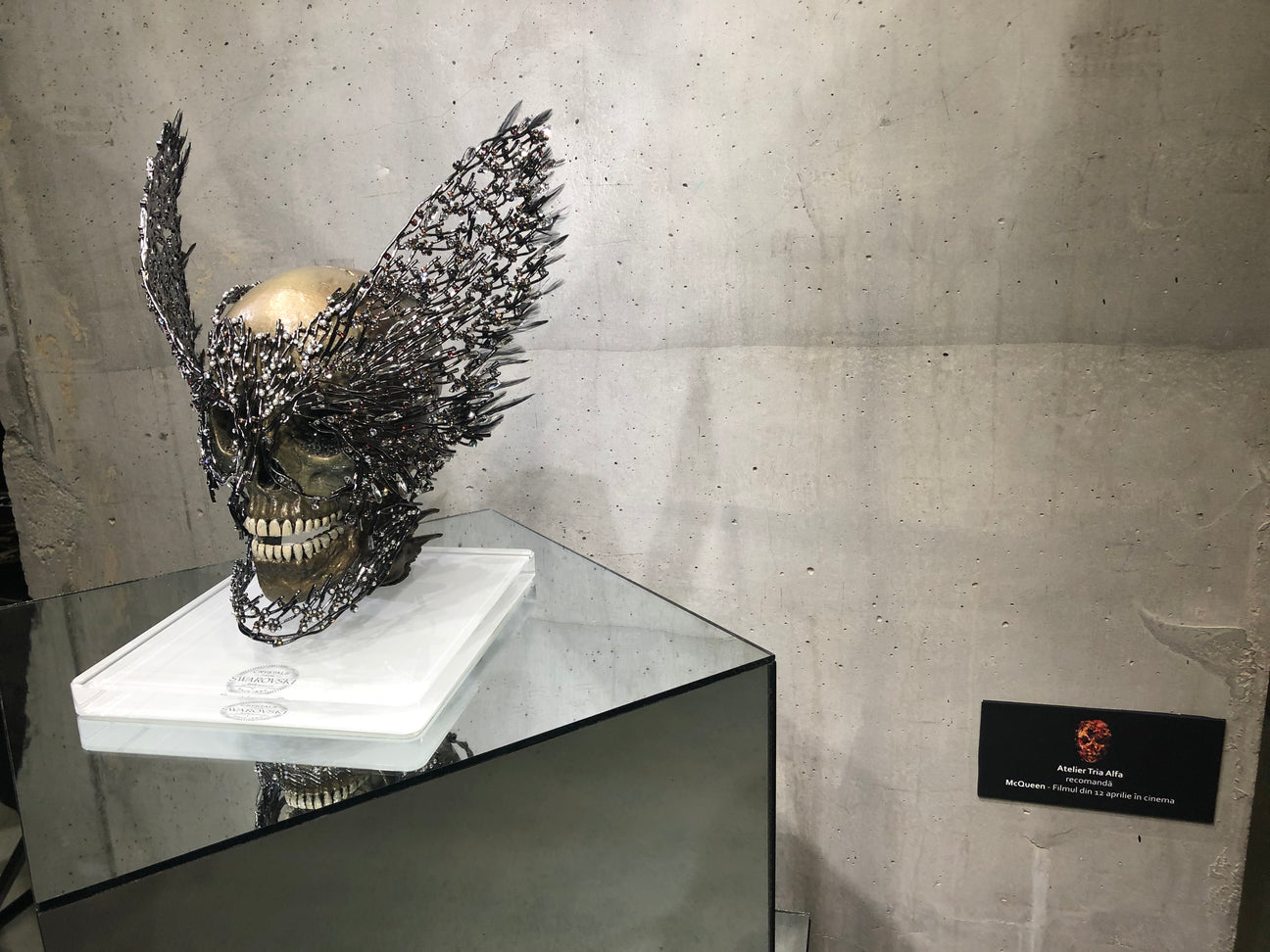 Proiecte si Colaborari