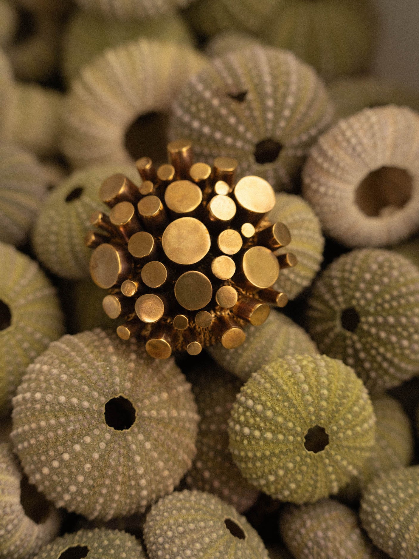 Brosa Golden Sea Urchin